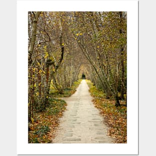 Fall Path Posters and Art